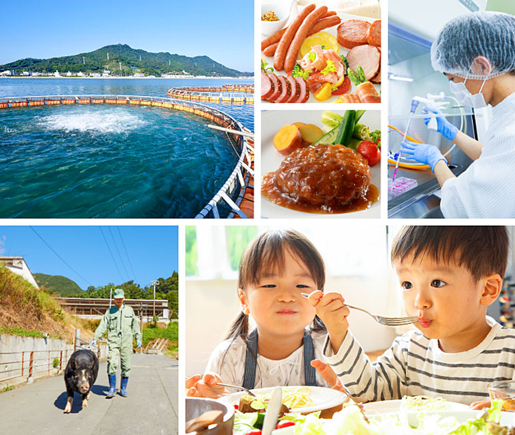 おいしさを、生きるちからに。 林兼産業